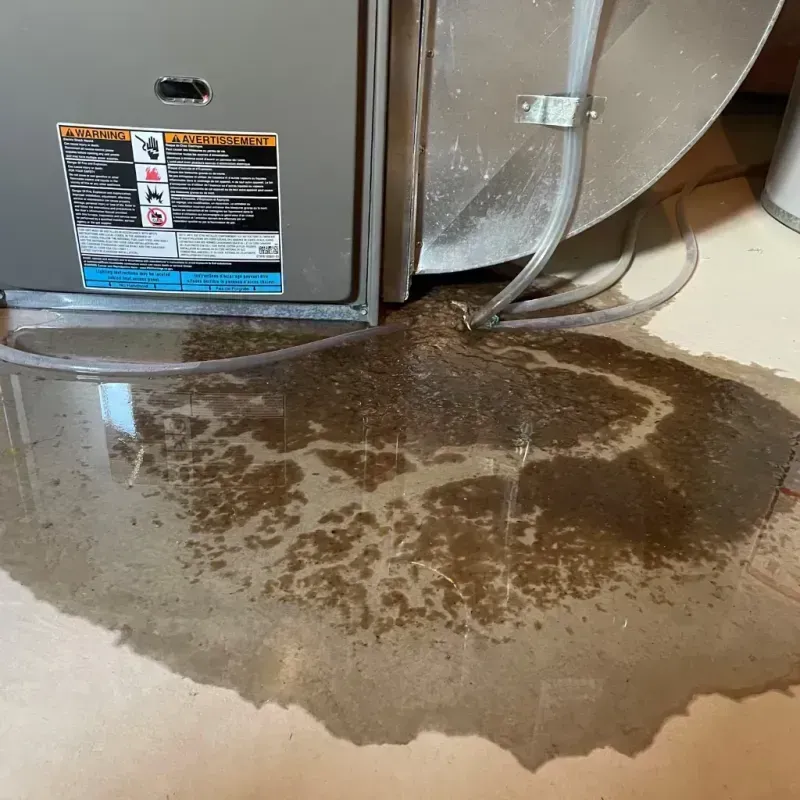 Appliance Leak Cleanup in East Hartford, CT